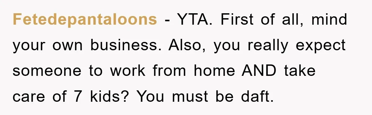 Fetedepantaloons − YTA. First of all, mind your own business. Also, you really expect someone to work from home AND take care of 7 kids? You must be daft.