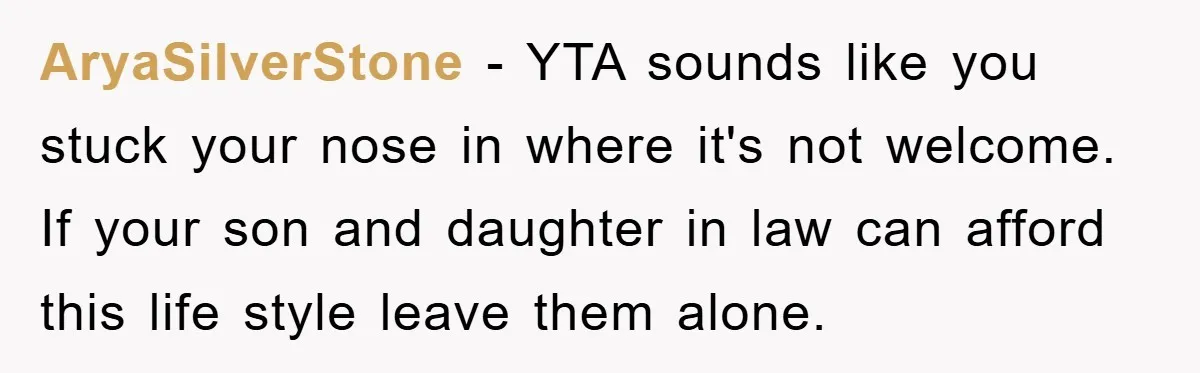 AryaSilverStone − YTA sounds like you stuck your nose in where it's not welcome. If your son and daughter in law can afford this life style leave them alone.