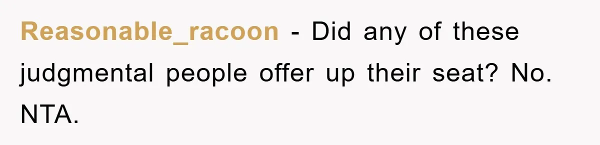Reasonable_racoon - Did any of these judgmental people offer up their seat? No. NTA.