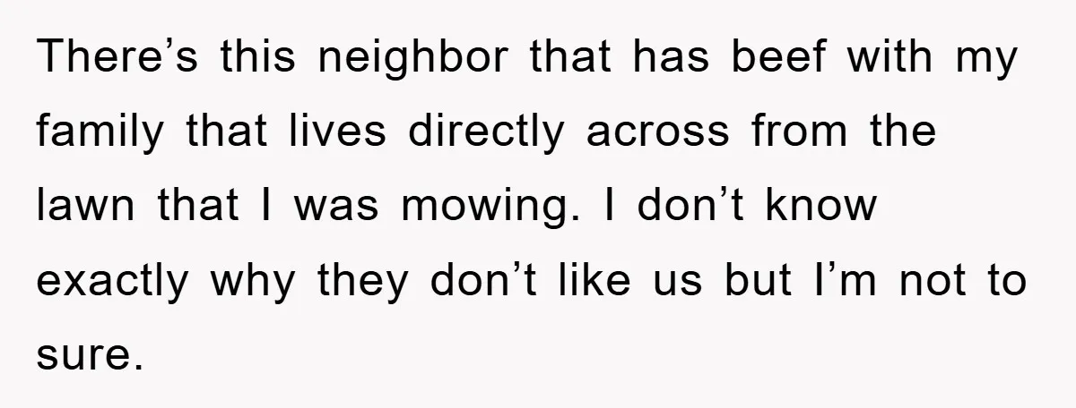 There’s this neighbor that has beef with my family that lives directly across from the lawn that I was mowing. I don’t know exactly why they don’t like us but...
