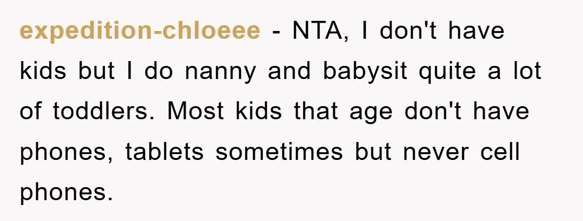 expedition-chloeee - NTA, I don't have kids but I do nanny and babysit quite a lot of toddlers. Most kids that age don't have phones, tablets sometimes but never cell...