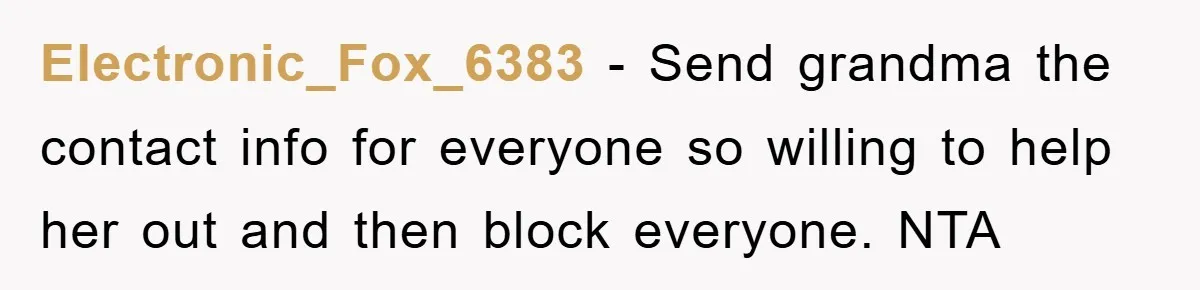 Electronic_Fox_6383 − Send grandma the contact info for everyone so willing to help her out and then block everyone. NTA
