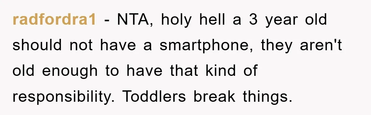 radfordra1 - NTA, holy hell a 3 year old should not have a smartphone, they aren't old enough to have that kind of responsibility. Toddlers break things.