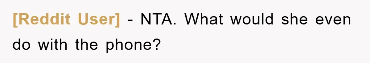 [Reddit User] - NTA. What would she even do with the phone?