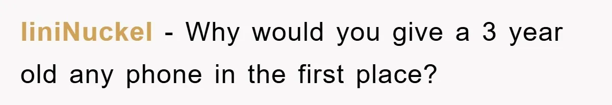 liniNuckel - Why would you give a 3 year old any phone in the first place?