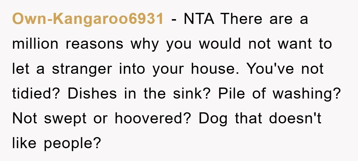 Own-Kangaroo6931 − NTA There are a million reasons why you would not want to let a stranger into your house. You've not tidied? Dishes in the sink? Pile of washing?...