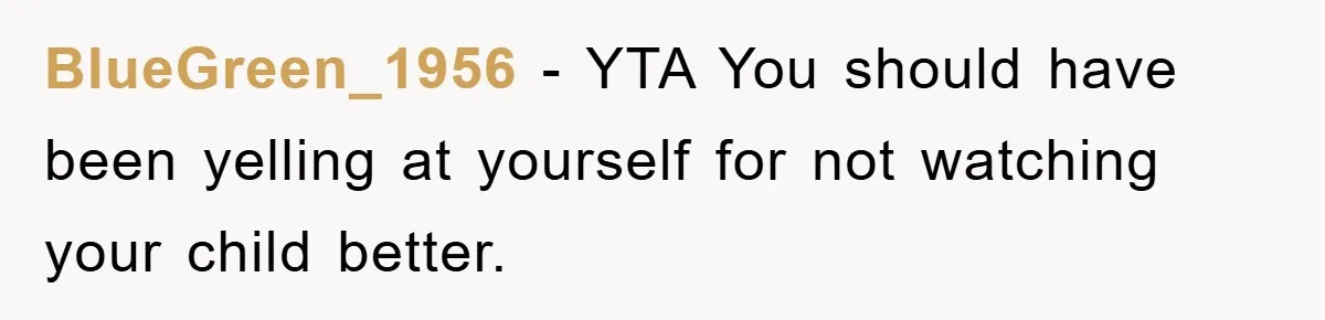 BlueGreen_1956 − YTA You should have been yelling at yourself for not watching your child better.