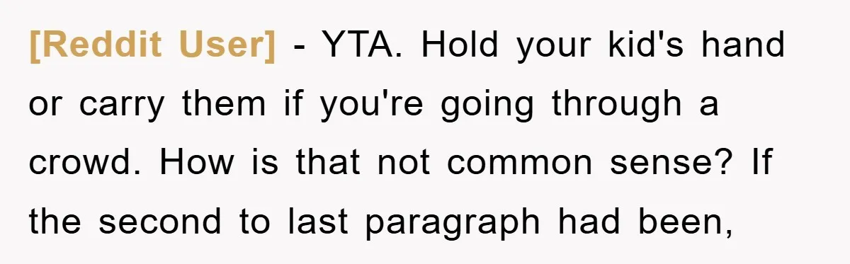 [Reddit User] − YTA. Hold your kid's hand or carry them if you're going through a crowd. How is that not common sense? If the second to last paragraph had...
