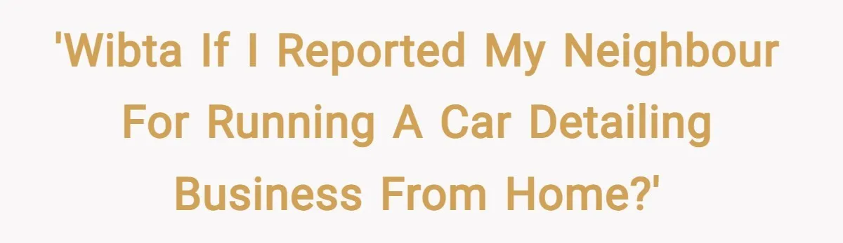 'WIBTA if I reported my neighbour for running a car detailing business from home?'