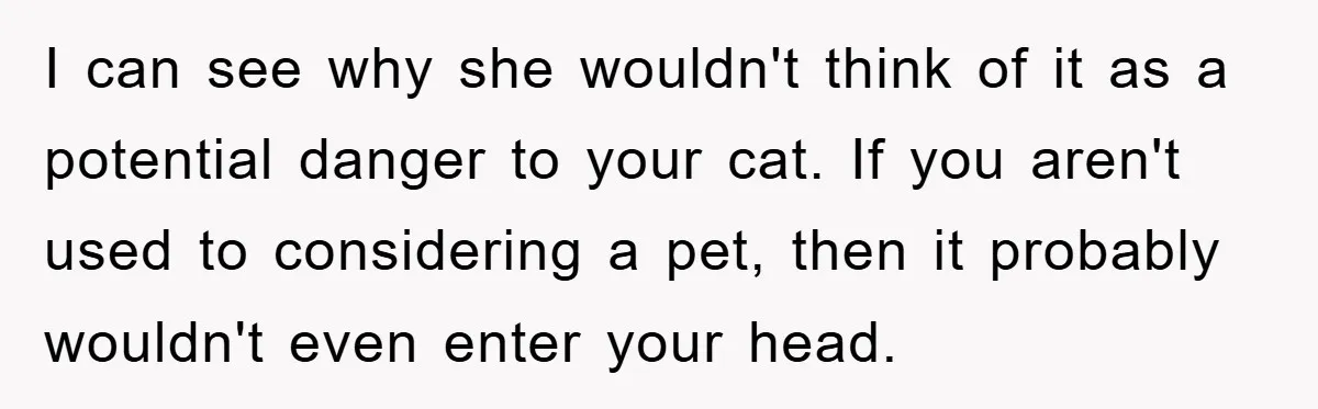 I can see why she wouldn't think of it as a potential danger to your cat. If you aren't used to considering a pet, then it probably wouldn't even enter...