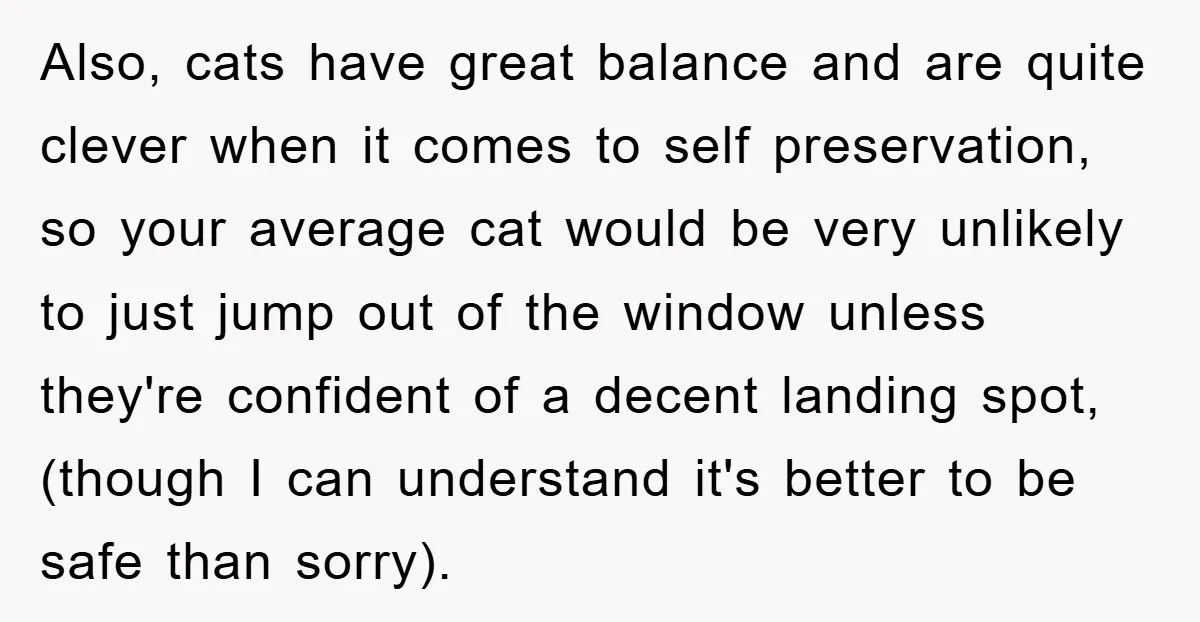 Also, cats have great balance and are quite clever when it comes to self preservation, so your average cat would be very unlikely to just jump out of the window...