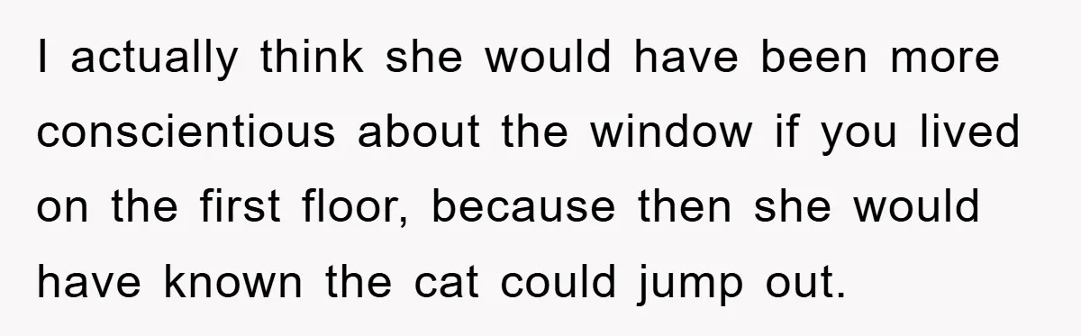 I actually think she would have been more conscientious about the window if you lived on the first floor, because then she would have known the cat could jump out.