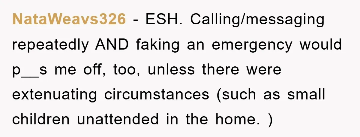 NataWeavs326 − ESH. Calling/messaging repeatedly AND faking an emergency would p__s me off, too, unless there were extenuating circumstances (such as small children unattended in the home. )