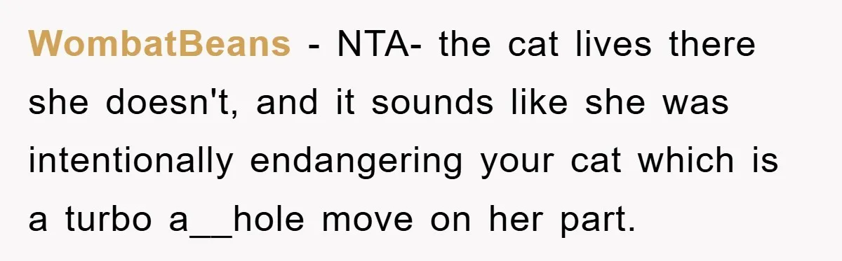 WombatBeans - NTA- the cat lives there she doesn't, and it sounds like she was intentionally endangering your cat which is a turbo a__hole move on her part.