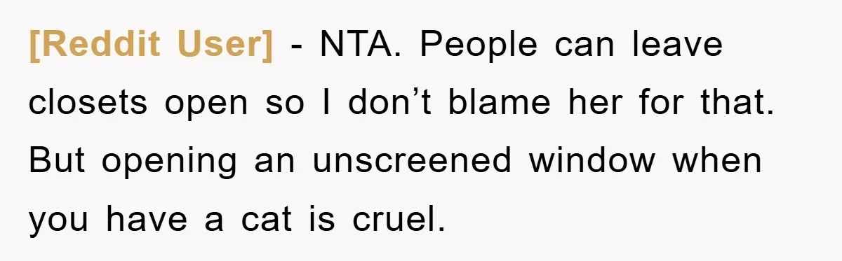 [Reddit User] - NTA. People can leave closets open so I don’t blame her for that. But opening an unscreened window when you have a cat is cruel.