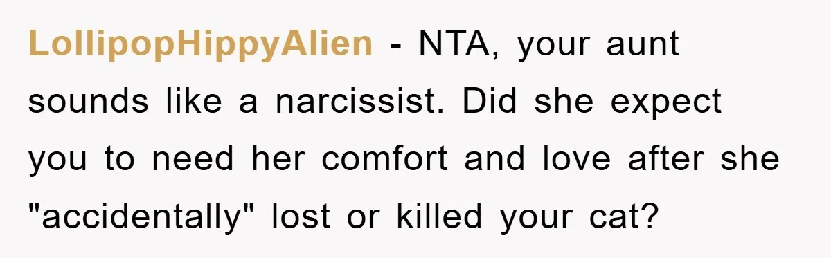 LollipopHippyAlien - NTA, your aunt sounds like a narcissist. Did she expect you to need her comfort and love after she "accidentally" lost or killed your cat?