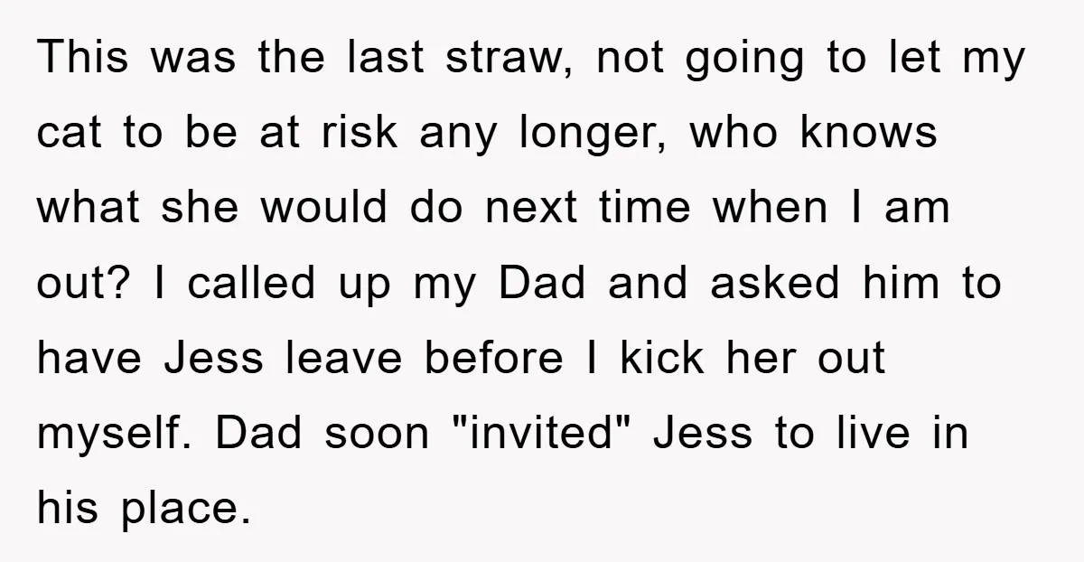 This was the last straw, not going to let my cat to be at risk any longer, who knows what she would do next time when I am out? I...