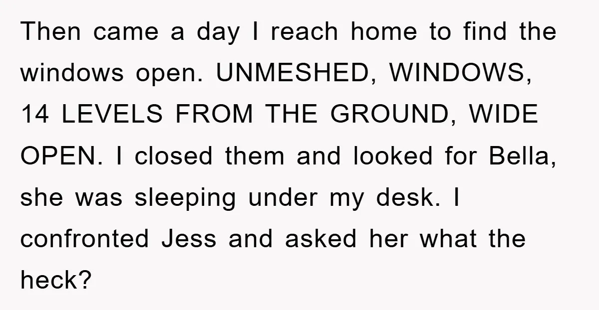 Then came a day I reach home to find the windows open. UNMESHED, WINDOWS, 14 LEVELS FROM THE GROUND, WIDE OPEN. I closed them and looked for Bella, she was...