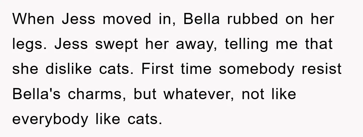 When Jess moved in, Bella rubbed on her legs. Jess swept her away, telling me that she dislike cats. First time somebody resist Bella's charms, but whatever, not like everybody...