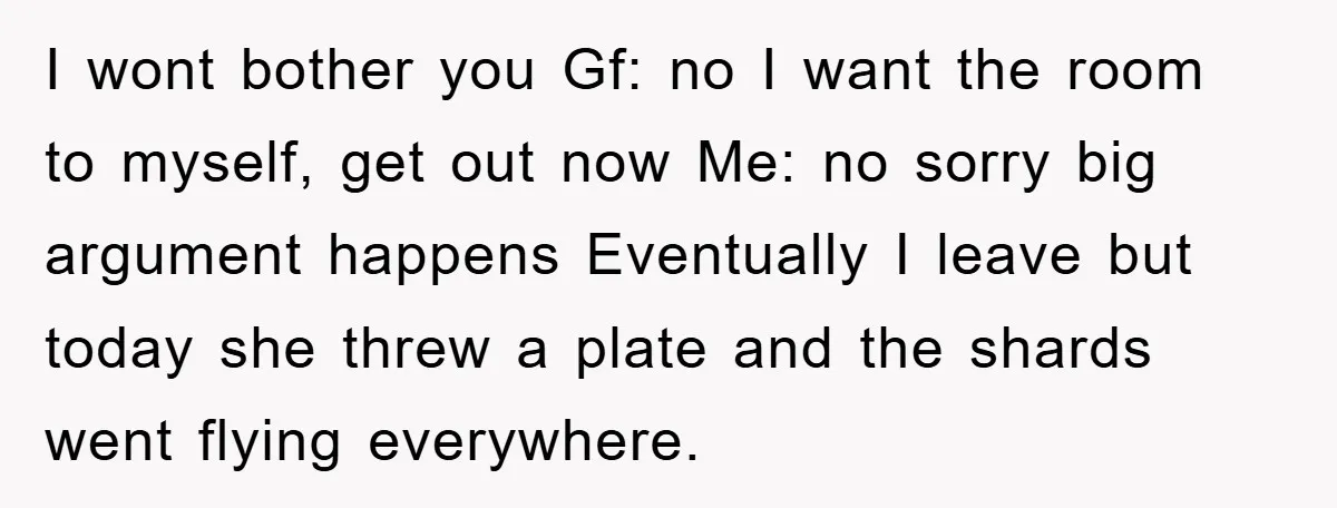 I wont bother you Gf: no I want the room to myself, get out now Me: no sorry big argument happens Eventually I leave but today she threw a plate...