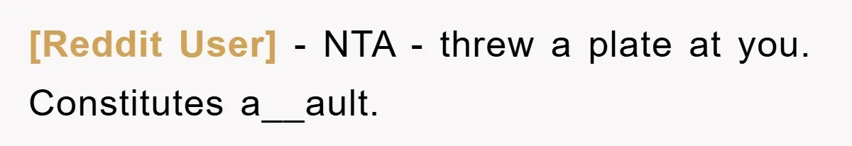 [Reddit User] − NTA - threw a plate at you. Constitutes a__ault.