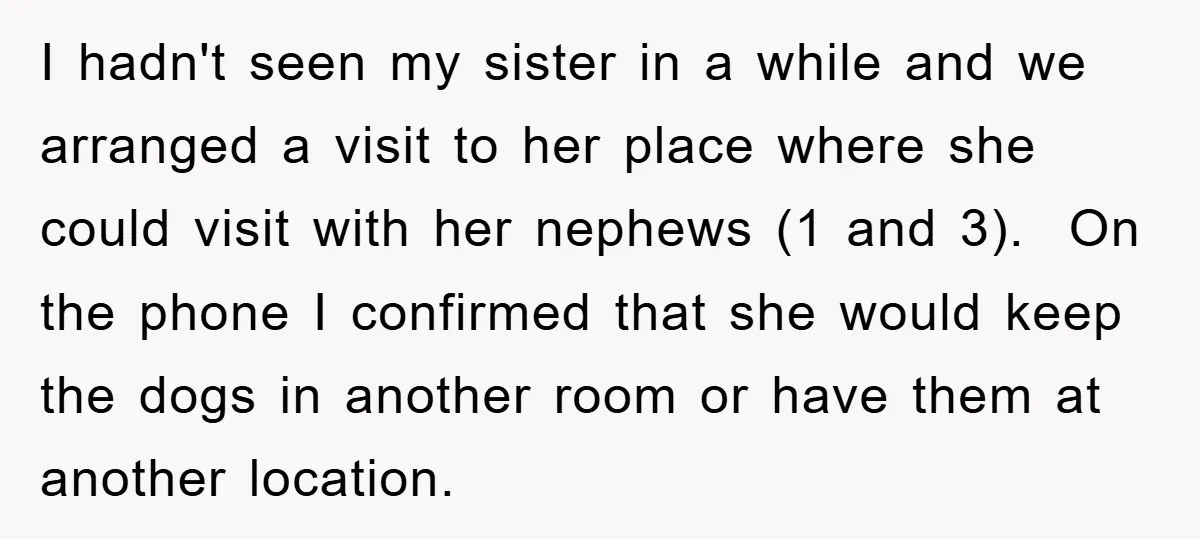 I hadn't seen my sister in a while and we arranged a visit to her place where she could visit with her nephews (1 and 3). On the phone I...