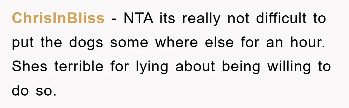 ChrisInBliss − NTA its really not difficult to put the dogs some where else for an hour. Shes terrible for lying about being willing to do so.