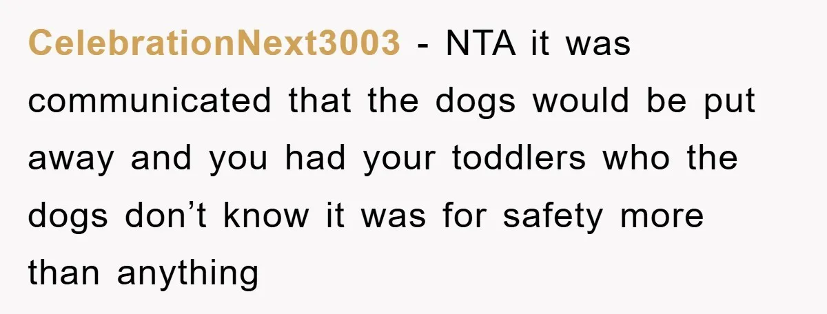 CelebrationNext3003 − NTA it was communicated that the dogs would be put away and you had your toddlers who the dogs don’t know it was for safety more than anything