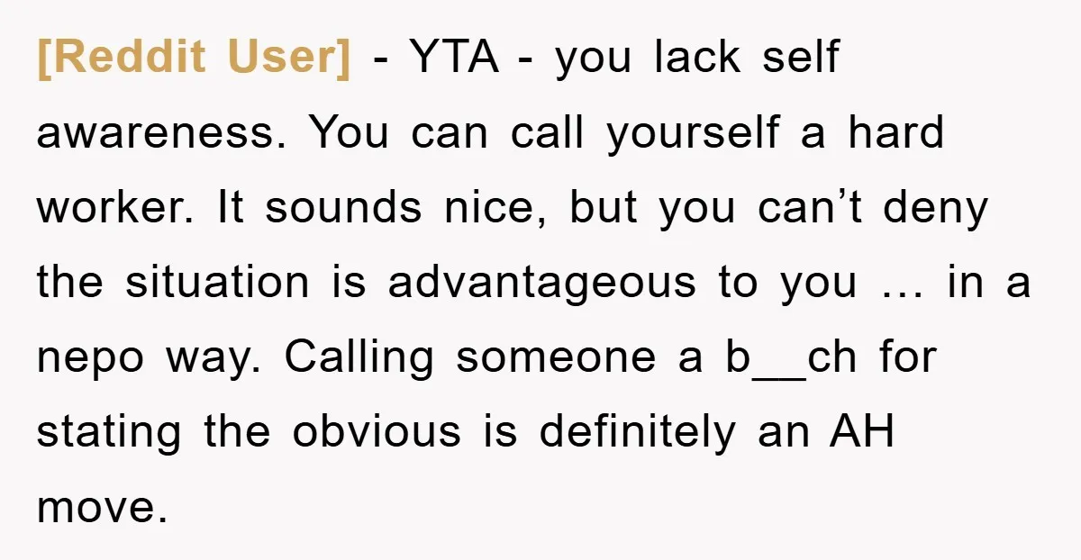 [Reddit User] − YTA - you lack self awareness. You can call yourself a hard worker. It sounds nice, but you can’t deny the situation is advantageous to you …...