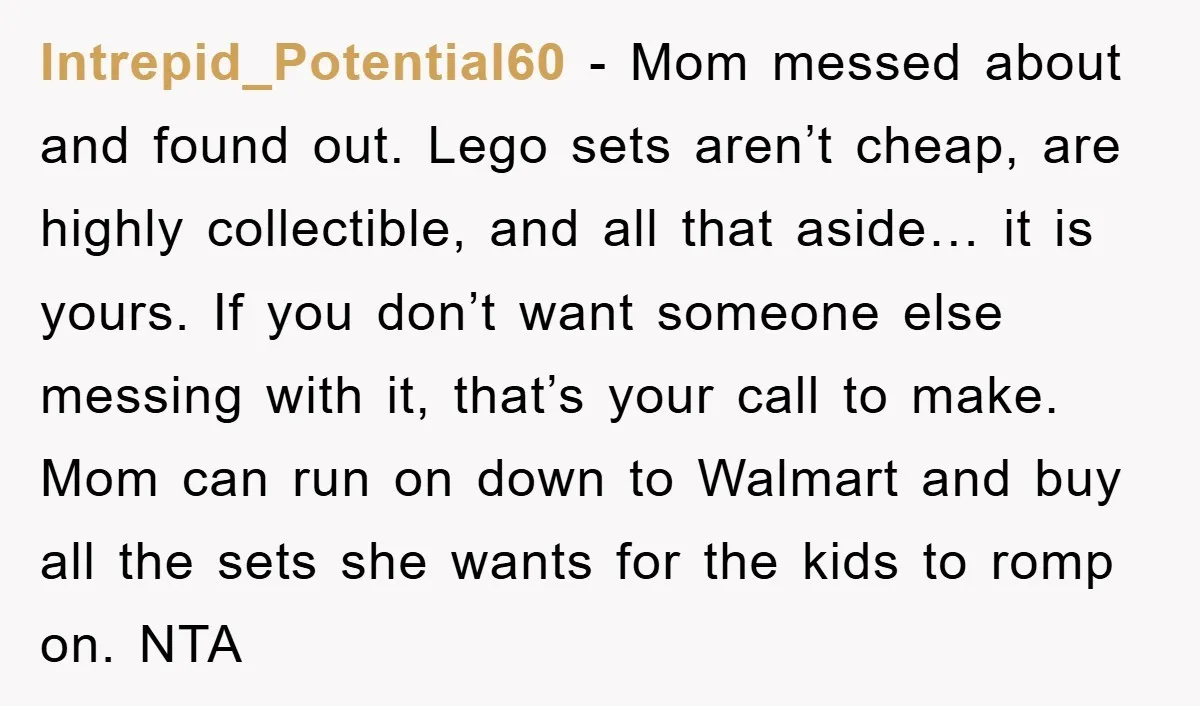 Intrepid_Potential60 - Mom messed about and found out. Lego sets aren’t cheap, are highly collectible, and all that aside… it is yours. If you don’t want someone else messing with...