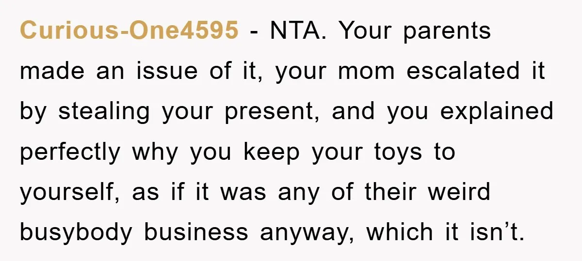 Curious-One4595 - NTA. Your parents made an issue of it, your mom escalated it by stealing your present, and you explained perfectly why you keep your toys to yourself, as...