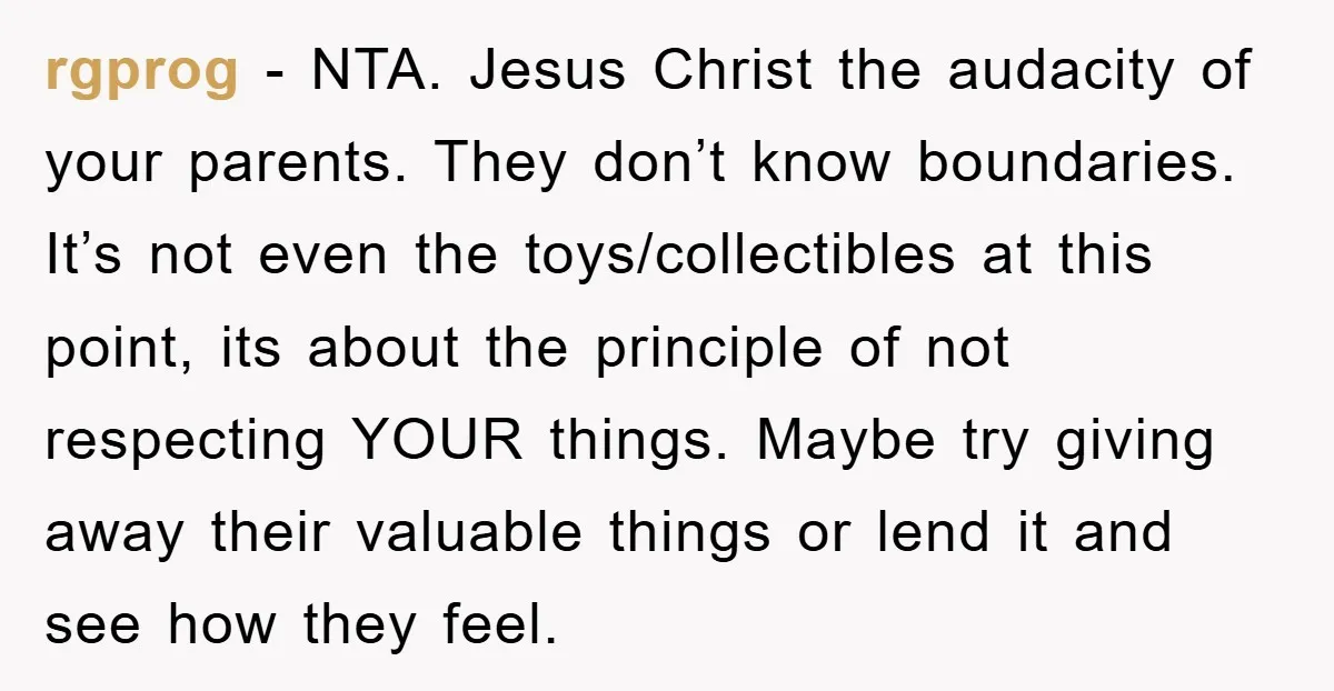 rgprog - NTA. Jesus Christ the audacity of your parents. They don’t know boundaries. It’s not even the toys/collectibles at this point, its about the principle of not respecting YOUR...