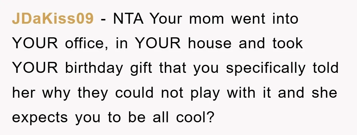 JDaKiss09 - NTA Your mom went into YOUR office, in YOUR house and took YOUR birthday gift that you specifically told her why they could not play with it and...