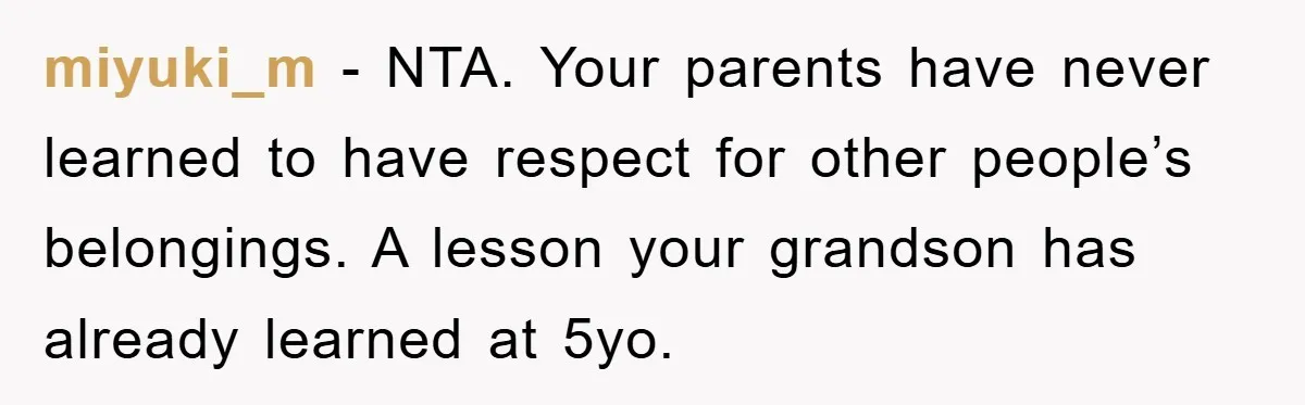 miyuki_m - NTA. Your parents have never learned to have respect for other people’s belongings. A lesson your grandson has already learned at 5yo.