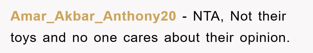 Amar_Akbar_Anthony20 - NTA, Not their toys and no one cares about their opinion.
