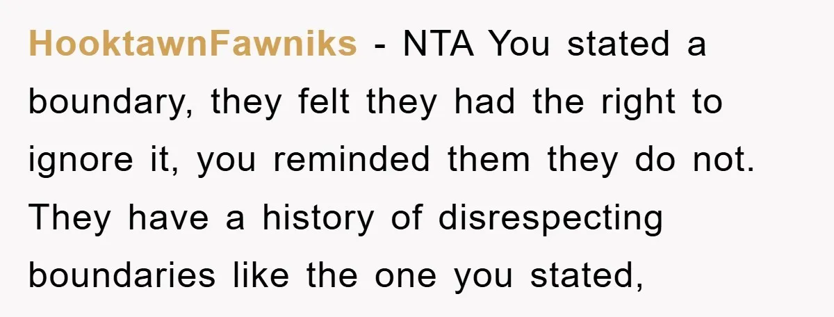 HooktawnFawniks - NTA You stated a boundary, they felt they had the right to ignore it, you reminded them they do not. They have a history of disrespecting boundaries like...