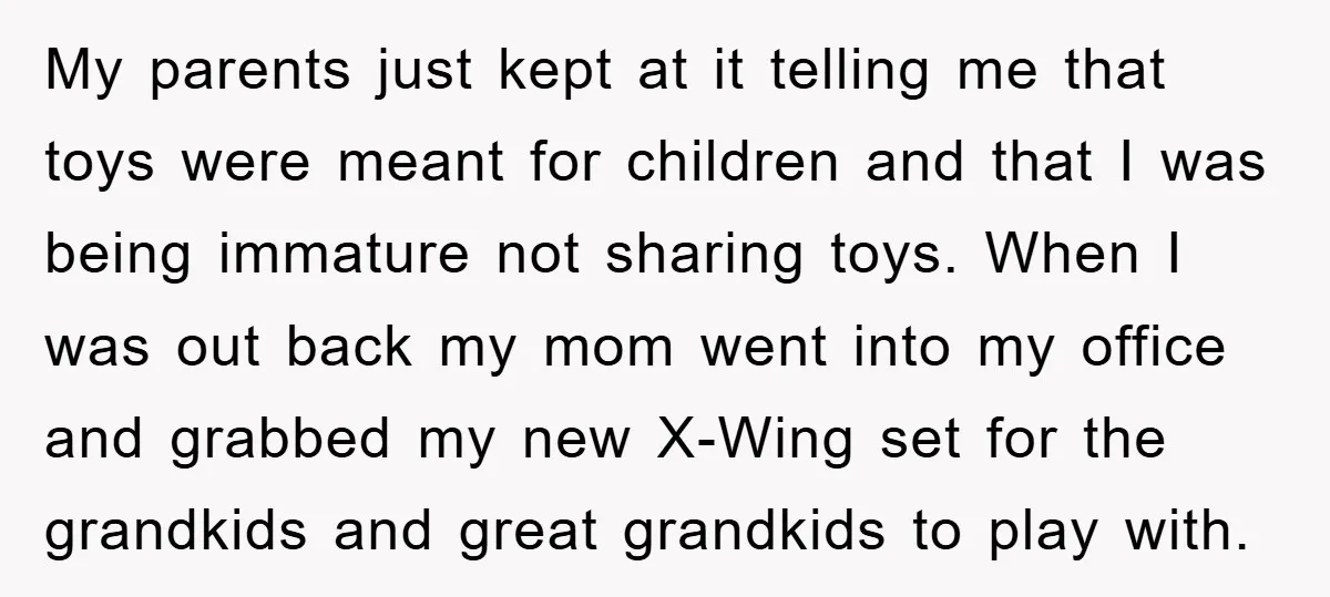 My parents just kept at it telling me that toys were meant for children and that I was being immature not sharing toys. When I was out back my mom...