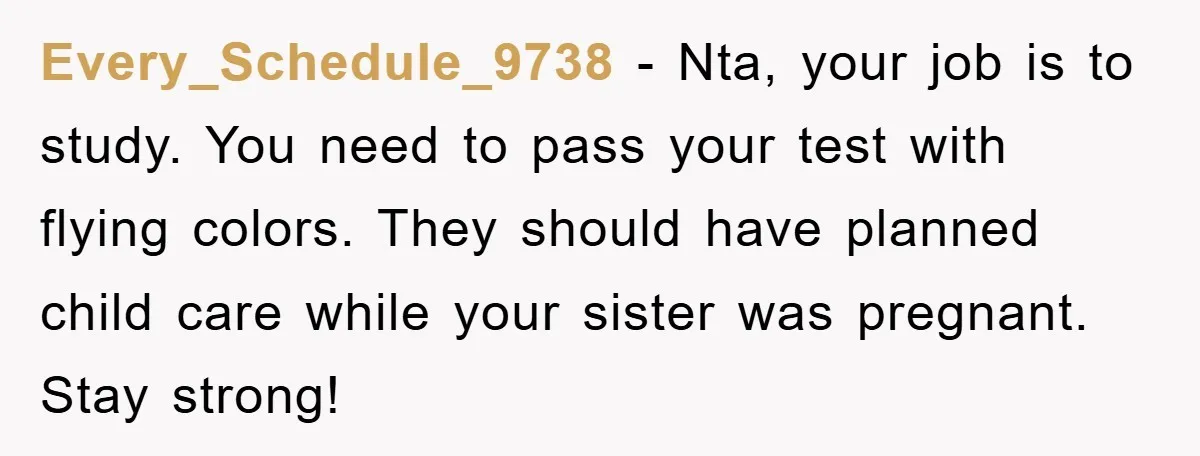 Every_Schedule_9738 - Nta, your job is to study. You need to pass your test with flying colors. They should have planned child care while your sister was pregnant. Stay strong!