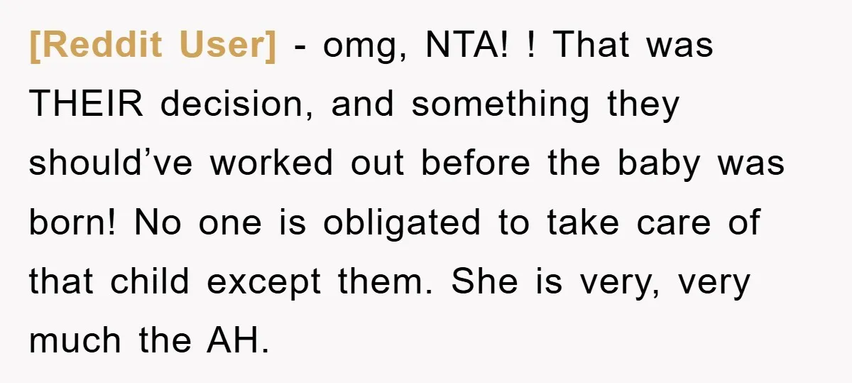 [Reddit User] - omg, NTA! ! That was THEIR decision, and something they should’ve worked out before the baby was born! No one is obligated to take care of that...