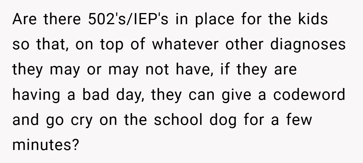 Are there 502's/IEP's in place for the kids so that, on top of whatever other diagnoses they may or may not have, if they are having a bad day, they...