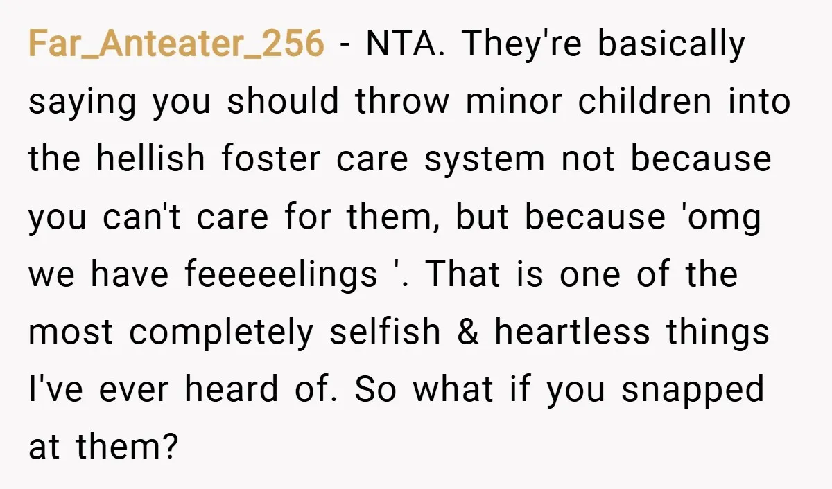 Far_Anteater_256 − NTA. They're basically saying you should throw minor children into the hellish foster care system not because you can't care for them, but because 'omg we have feeeeelings...