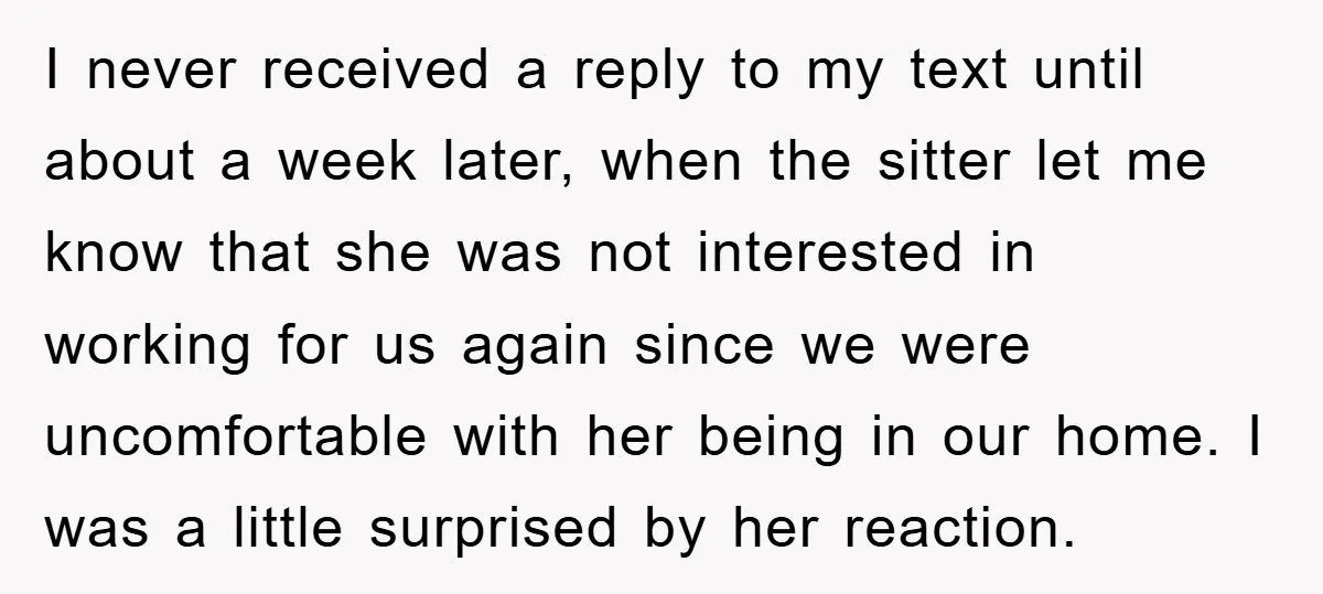 I never received a reply to my text until about a week later, when the sitter let me know that she was not interested in working for us again since...