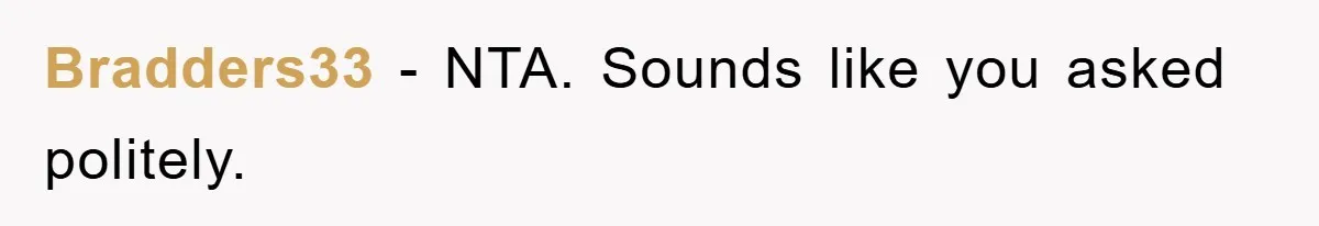 Bradders33 − NTA. Sounds like you asked politely.