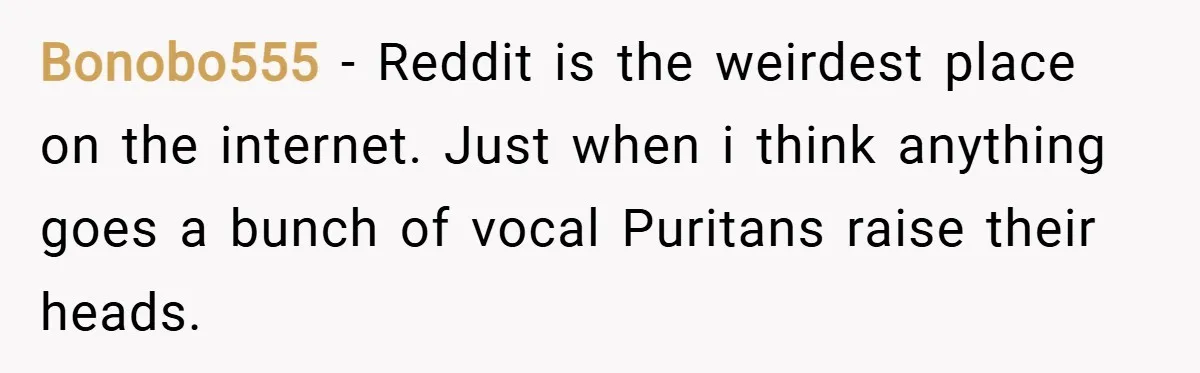 Bonobo555 − Reddit is the weirdest place on the internet. Just when i think anything goes a bunch of vocal Puritans raise their heads.