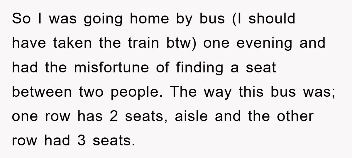 So I was going home by bus (I should have taken the train btw) one evening and had the misfortune of finding a seat between two people. The way this...