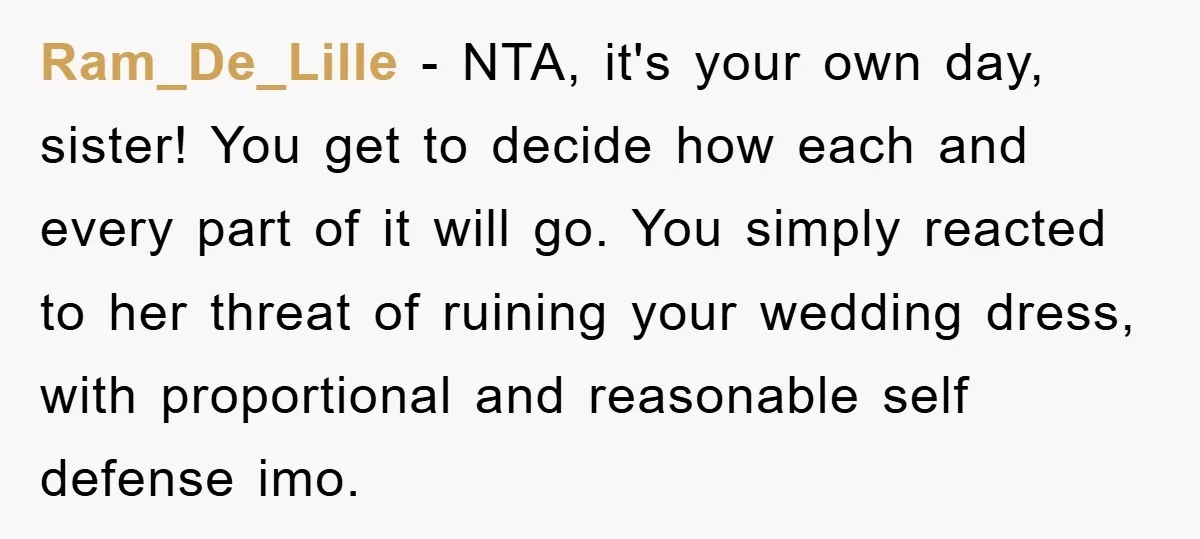 Ram_De_Lille − NTA, it's your own day, sister! You get to decide how each and every part of it will go. You simply reacted to her threat of ruining your...