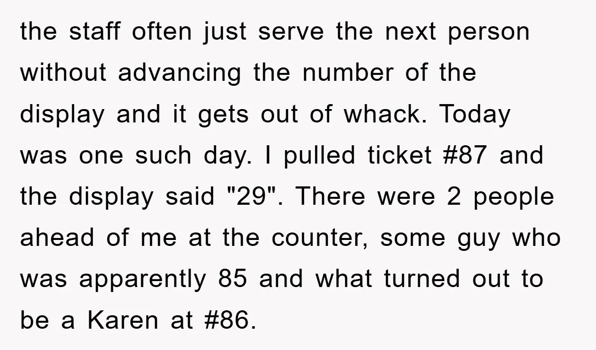 the staff often just serve the next person without advancing the number of the display and it gets out of whack. Today was one such day. I pulled ticket #87...