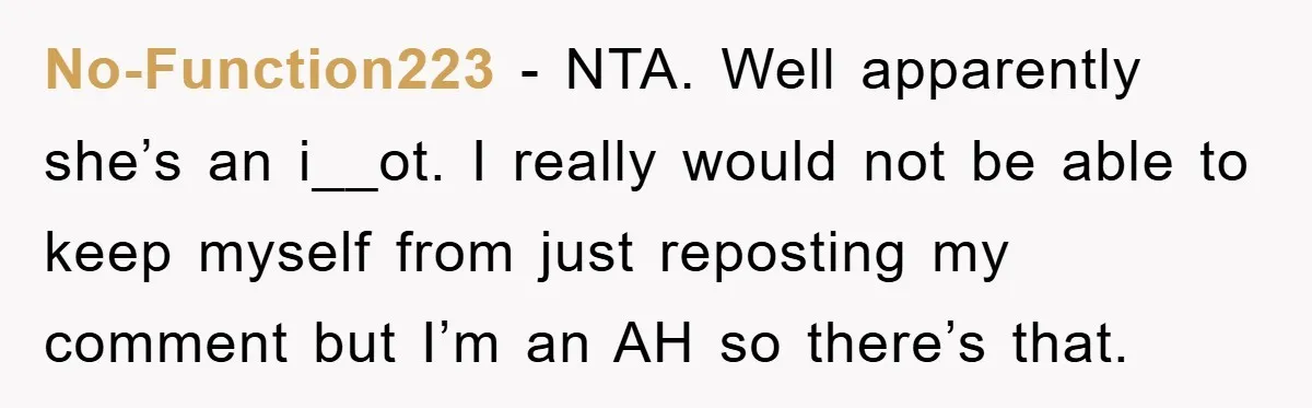 No-Function223 − NTA. Well apparently she’s an i__ot. I really would not be able to keep myself from just reposting my comment but I’m an AH so there’s that.