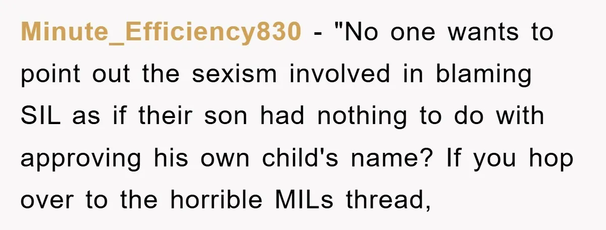Minute_Efficiency830 - "No one wants to point out the sexism involved in blaming SIL as if their son had nothing to do with approving his own child's name? If you...