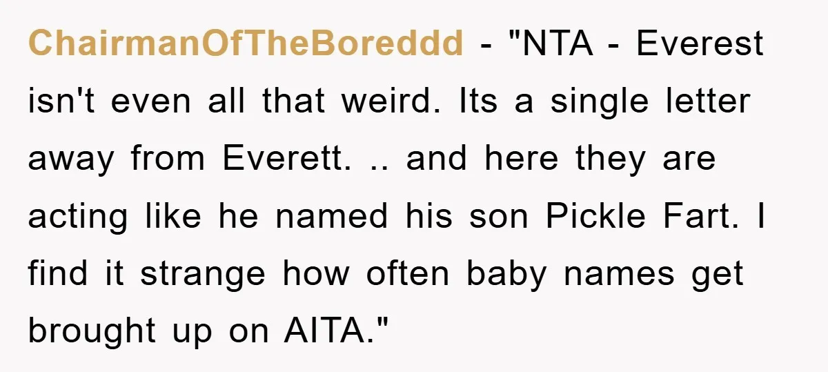 ChairmanOfTheBoreddd - "NTA - Everest isn't even all that weird. Its a single letter away from Everett. .. and here they are acting like he named his son Pickle Fart....